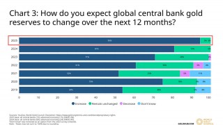 Central Bank Gold Buying Pushes Demand to Record Highs