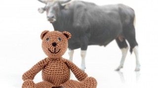 Mainstream Bullish on Gold and Silver Despite Sell-Off