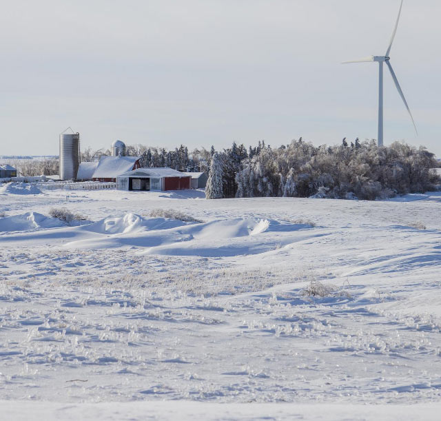 Buying Gold in Minnesota - Minnesota winter Scene