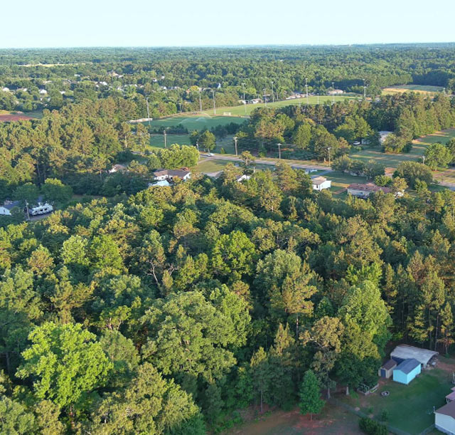 Buying Gold in South Carolina - South Carolina landscape