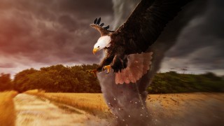 Fed Hawknado Smashes Markets