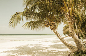 offshore gold and bullion dealers