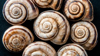 U.S. Dollar Spirals Lower