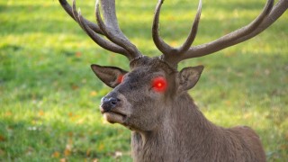 Welcome to Staglflation 2.0