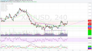 Bullion, Numismatics or Both?
